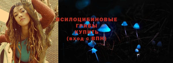 прущий лед Костерёво