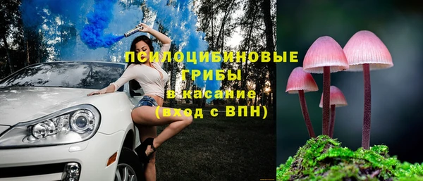 соль ск Коряжма