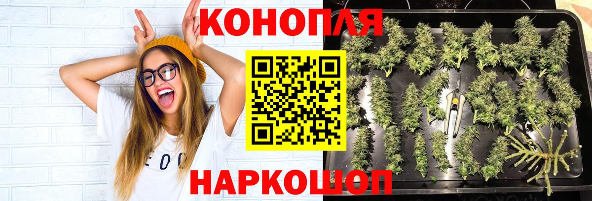 Марихуана White Widow Сорочинск